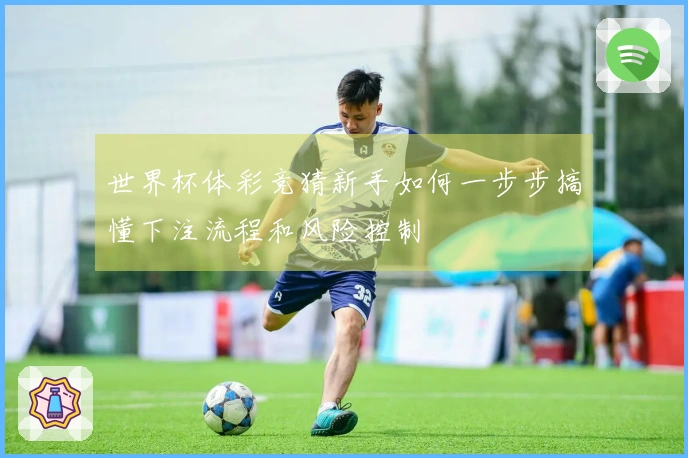 世界杯体彩竞猜新手如何一步步搞懂下注流程和风险控制