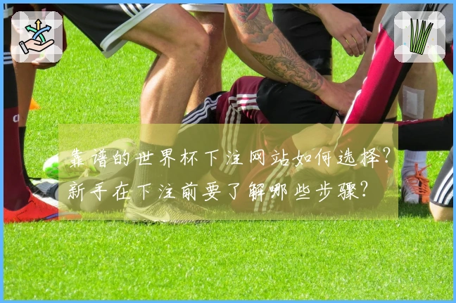 靠谱的世界杯下注网站如何选择？新手在下注前要了解哪些步骤？